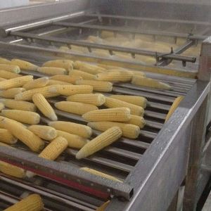 清洗、巴氏殺菌案例